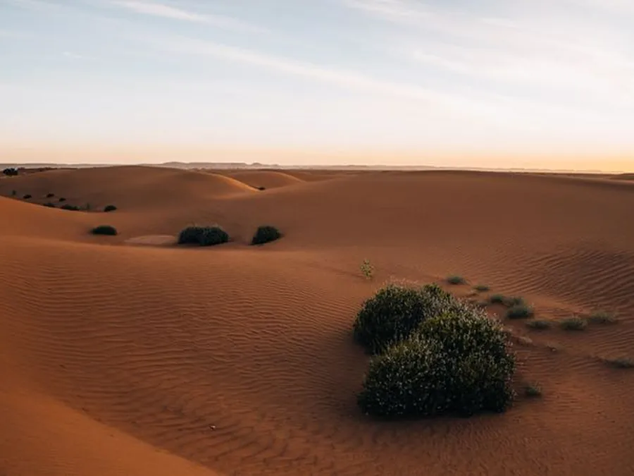 Circuit désert de luxe — dunes du Sahara marocain